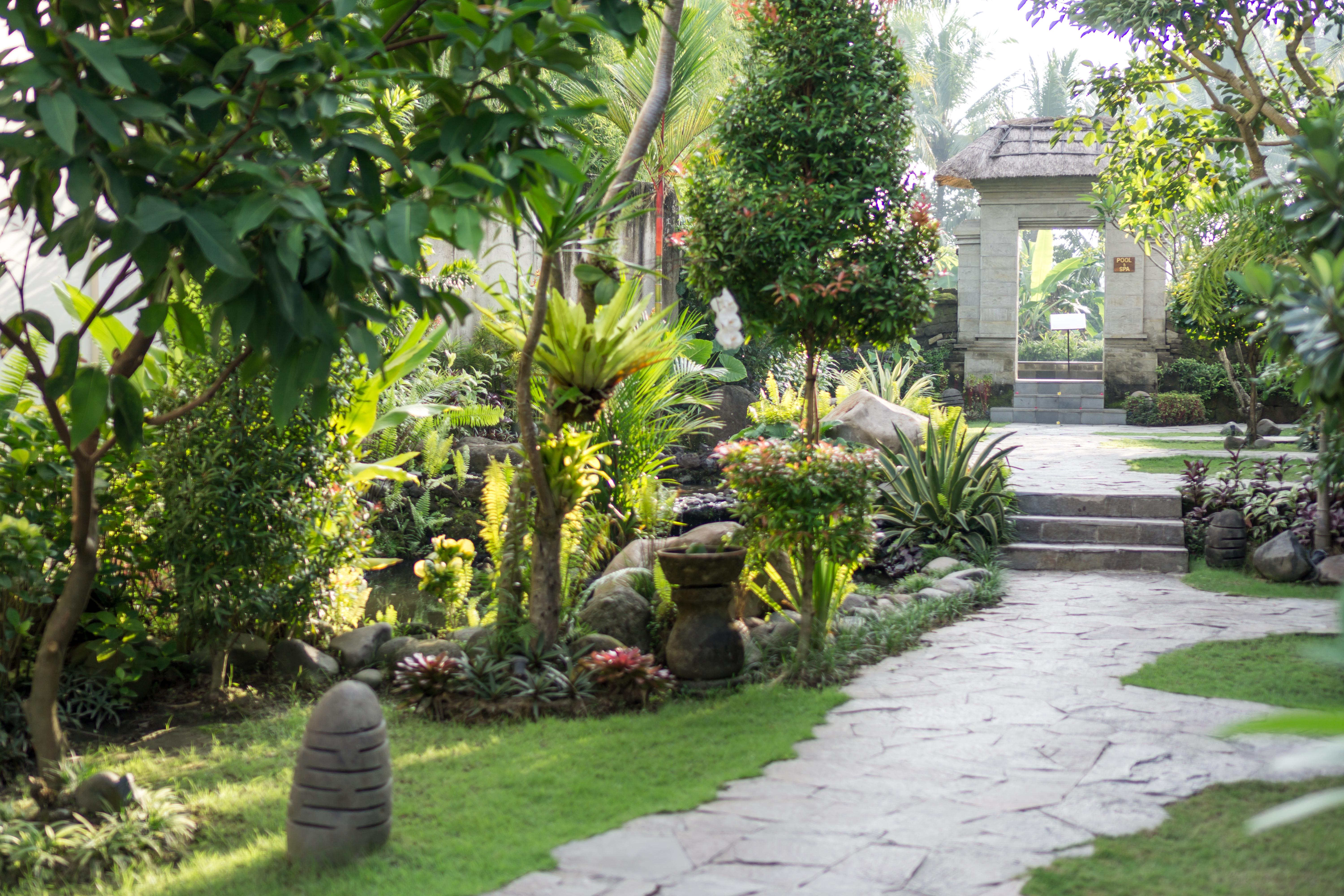 Radha Phala Resort & Spa Ubud Exteriör bild